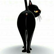 半颗心脏cc的个人资料头像