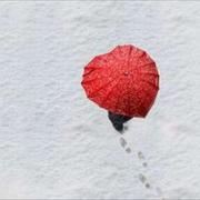 微笑的策的个人资料头像