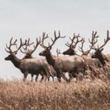 心灵灯塔80头像