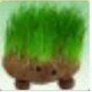 赵树平的个人资料头像