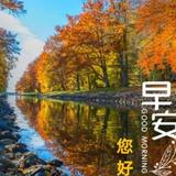 康桥1572头像