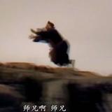 WikY605头像