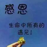 幸运溪流TQ头像
