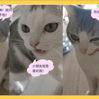 用户187022926128头像