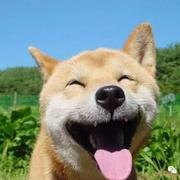 菜鸡开发工程师的个人资料头像