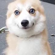 开翻挖掘机的个人资料头像