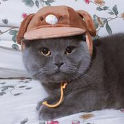 Yvette的个人资料头像