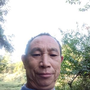 王显华头像