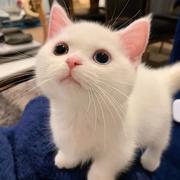 crud大头兵的个人资料头像