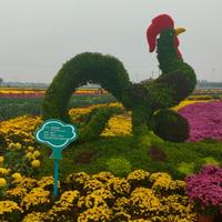 驾驭豪车头像