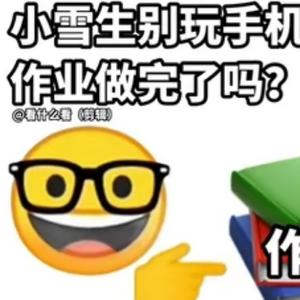 呆小布头像