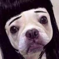 用户5350394940161头像