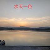 夜鹰头像