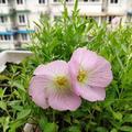 学科学爱科学用科学头像