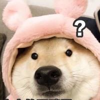 不云不叫键盘侠头像