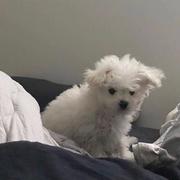 CharonzzZ的个人资料头像