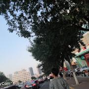 落日余晖120的个人资料头像