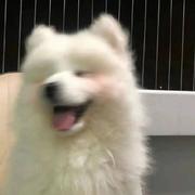 Ohh500的个人资料头像