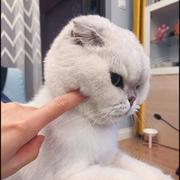 Amy哦的个人资料头像