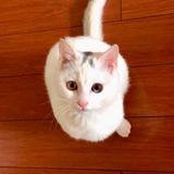 izumi717头像