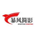 暴风简影头像