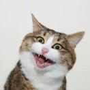 拧螺丝的的个人资料头像