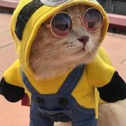 VDuck02的个人资料头像