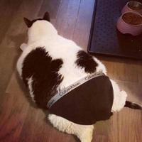 用户2480149500530308头像