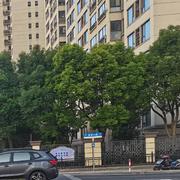 冥莺星辰的个人资料头像