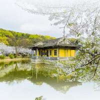 90后开宝来头像