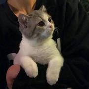 982的个人资料头像