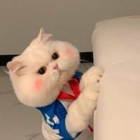 ㅤ李125头像