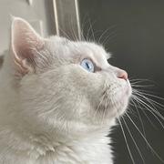 September的个人资料头像