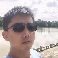 桥边老树头像