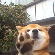 binTree的个人资料头像