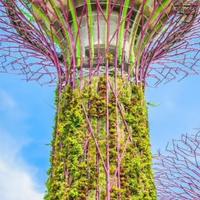 一往无前溪流Eg2头像