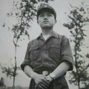 兵兵有理头像