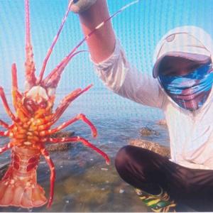 赶海晓章头像