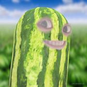 小任是菜鸟的个人资料头像