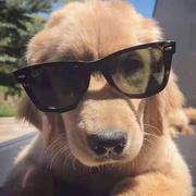 袁龙雨的个人资料头像