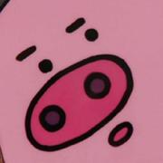 有脑子的cv战士的个人资料头像