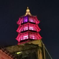 肇秋程头像