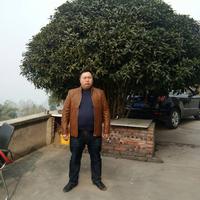 奔跑吧兄弟566头像