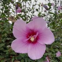 风雨同舟72926头像