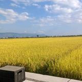 大风起兮开飞机头像