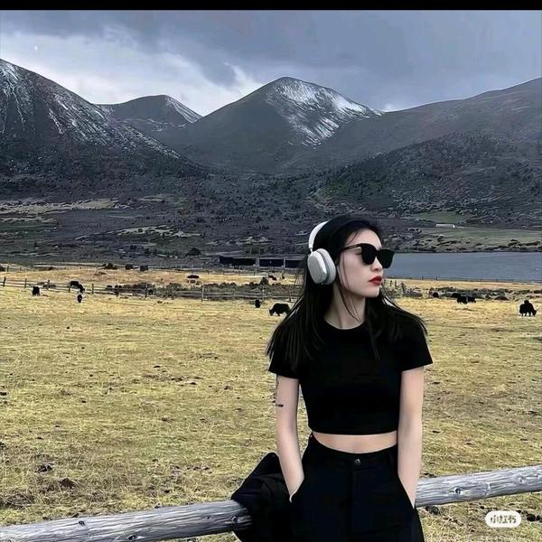 悦途汇名车头像