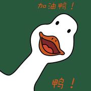 风风哈哈的个人资料头像