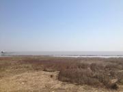 leeging的个人资料头像