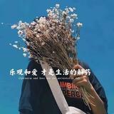 你头发乱了哦167头像