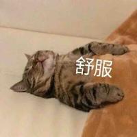 你是谁的港岛妹妹头像